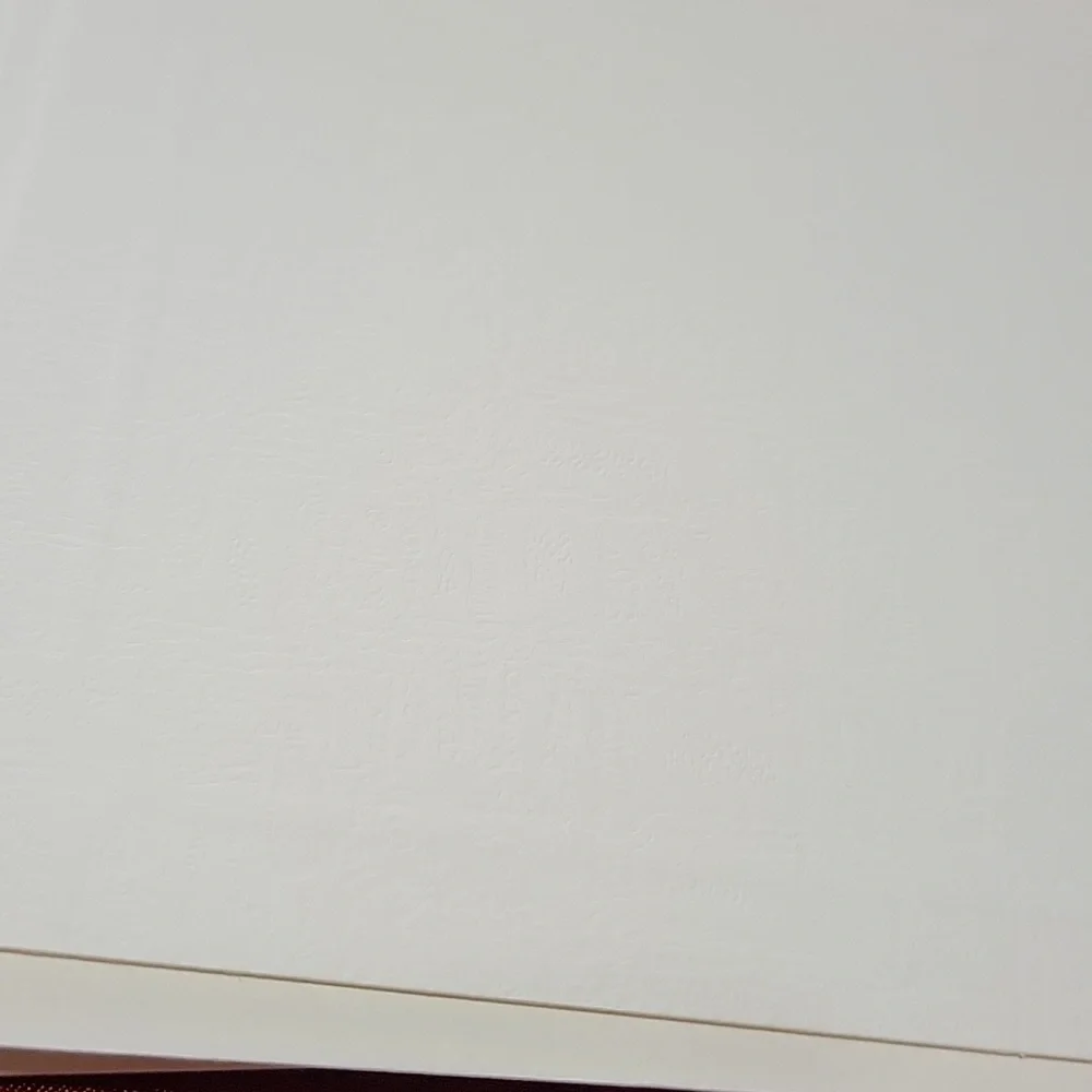 🍎 New 50 Embossed Textured Tent Escort / Folded Placecards Textured Thick Card
